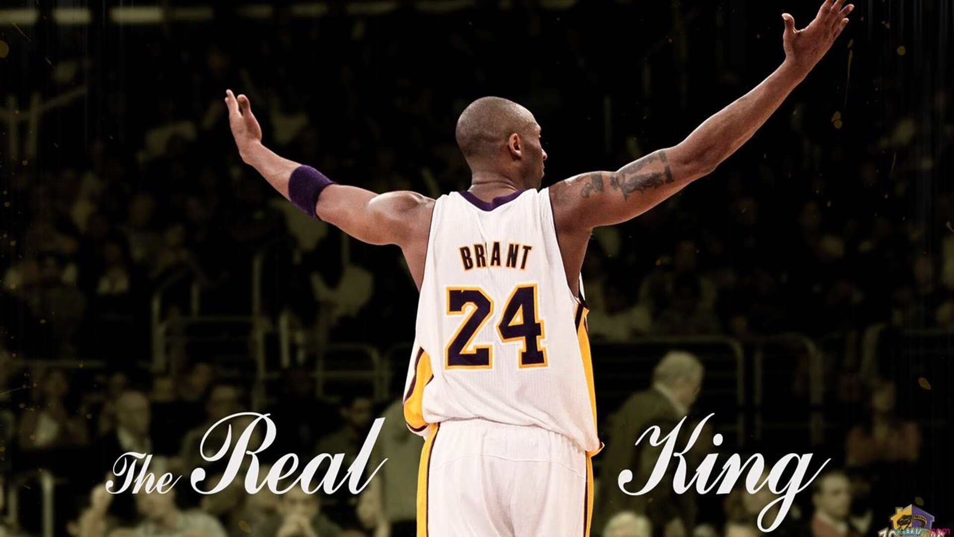 亲子迷你马拉松 孩子牵手父母共同冲线温馨满满